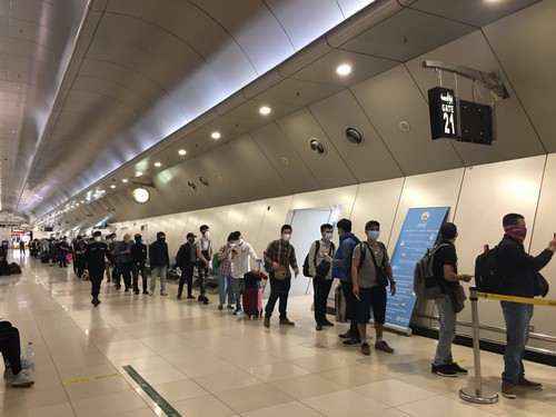 Más de 260 ciudadanos vietnamitas llegan a casa desde Kuwait, Qatar y Egipto - ảnh 1