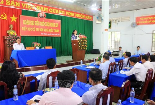 Reuniones con el electorado en localidades vietnamitas - ảnh 1