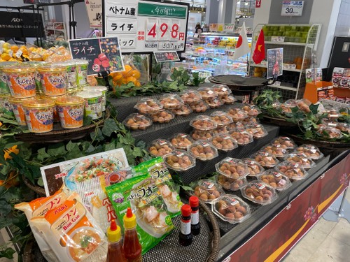 Primer loto de lichi fresco de Vietnam llega a supermercados de Japón - ảnh 1