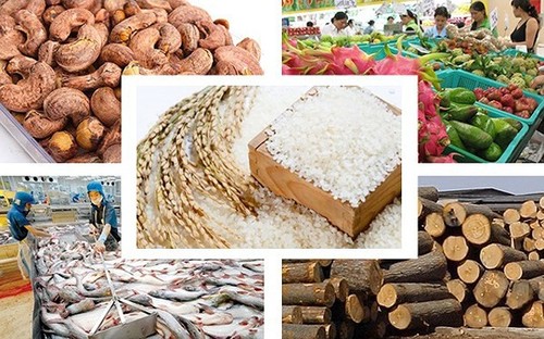 Aumentan exportaciones agropecuarias y silvícolas de Vietnam - ảnh 1