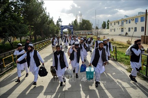 Afganistán aprueba la liberación de 400 prisioneros talibanes - ảnh 1