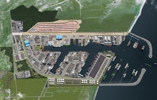 Brasil construye complejo portuario para facilitar su intercambio comercial con Asia - ảnh 1