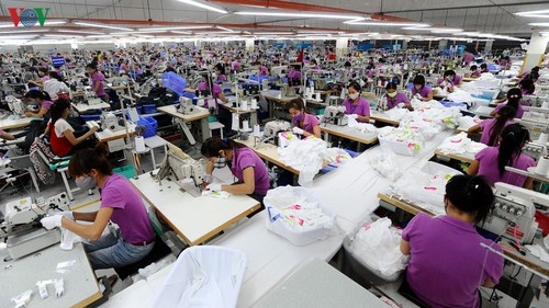 Vietnam y Países Bajos celebrarán una conferencia online sobre productos textiles en septiembre - ảnh 1