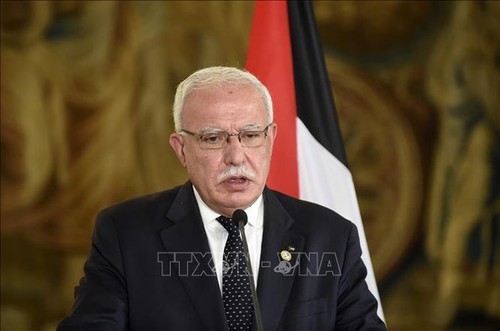 Palestina se retira de la presidencia de la Liga Árabe  - ảnh 1