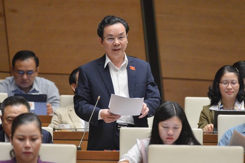 Desarrollo socioeconómico de Vietnam sigue siendo el tema central de sesiones parlamentarias - ảnh 1