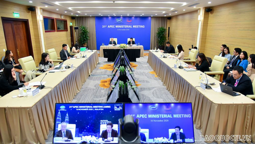 Vietnam y sus contribuciones al Foro de Cooperación Económica Asia-Pacífico - ảnh 2