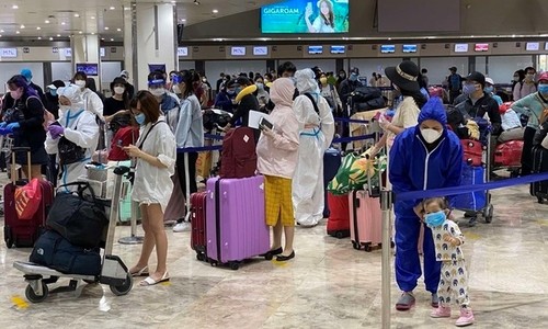 Casi 240 vietnamitas regresan a casa desde Filipinas - ảnh 1
