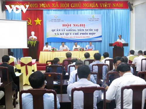 Vietnam apunta a exportar camarones por 10 mil millones de dólares para 2025 - ảnh 1