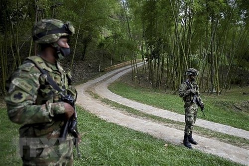 La ONU insta a Colombia a detener la violencia y cumplir el acuerdo de paz con las FARC - ảnh 1