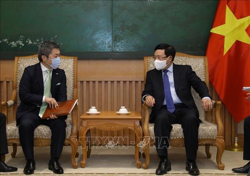 Viceprimer ministro de Vietnam recibe al director ejecutivo del grupo japonés Sumitomo Mitsui - ảnh 1