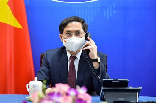 Vietnam establece un grupo de trabajo en diplomacia de vacunas  - ảnh 1