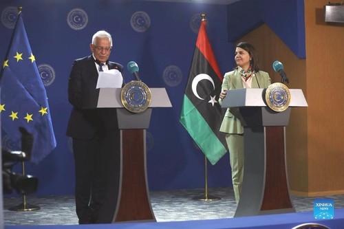 La Unión Europea se compromete a mantener su apoyo a Libia - ảnh 1
