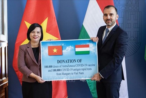 Vietnam recibe insumos médicos donados por Hungría e Italia para combatir el covid-19 - ảnh 1
