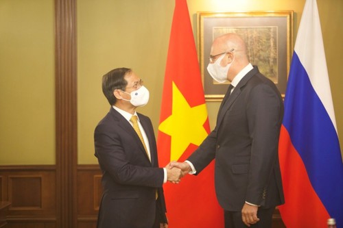 Promover la asociación estratégica integral entre Vietnam y Rusia - ảnh 1