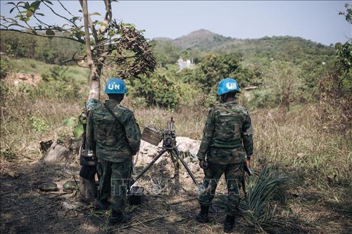 La ONU prorroga mandato de su misión en la República Centroafricana - ảnh 1