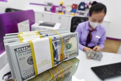 Se estiman en 12 mil 500 millones de dólares las remesas enviadas a Vietnam en 2021 - ảnh 1