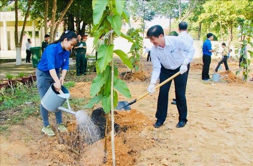 Localidades vietnamitas en respuesta al programa de plantación de árboles - ảnh 1