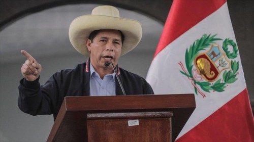 El presidente de Perú denuncia intento de golpe y pide activar Carta Democrática de OEA - ảnh 1