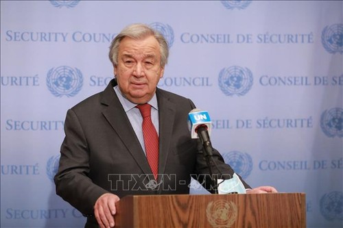Secretario general de la ONU llama a la acción en contra el racismo - ảnh 1
