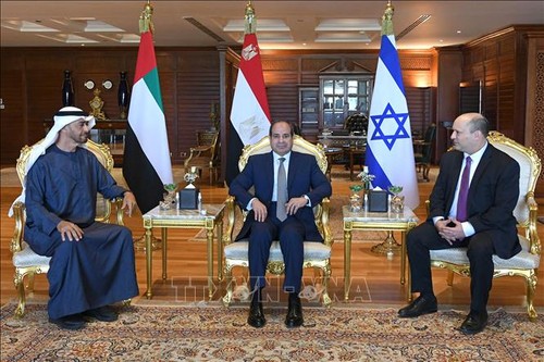 Líderes de Egipto, EAU e Israel debaten la estabilidad del mercado energético y la seguridad alimentaria - ảnh 1