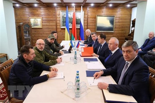 Rusia pide entablar negociaciones más “activas y sustantivas” con Ucrania - ảnh 1