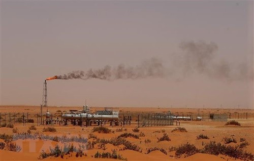 AIE busca medidas para aplacar el sobrecalentamiento del mercado del petróleo - ảnh 1