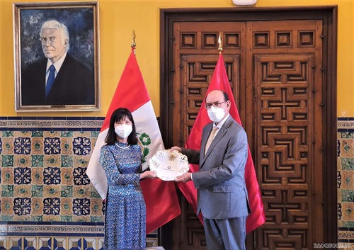 Perú considera a Vietnam un socio importante en el Sudeste Asiático - ảnh 1
