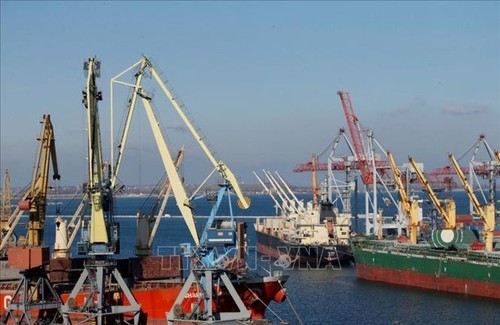 Italia y Rumania prohíben a los barcos rusos atracar en sus puertos - ảnh 1