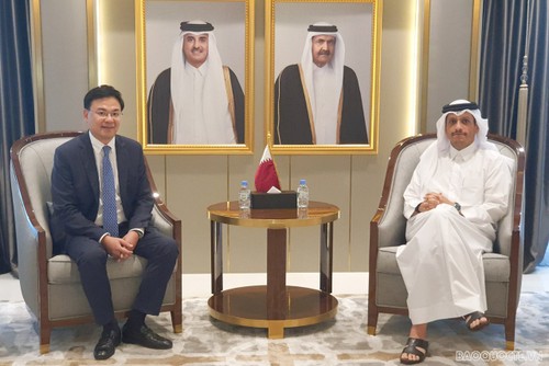 Vietnam y Qatar afianzan su cooperación económica - ảnh 1
