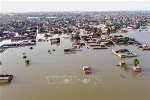 Vietnam expresa solidaridad con Pakistán ante consecuencias de fuertes lluvias e inundaciones - ảnh 1