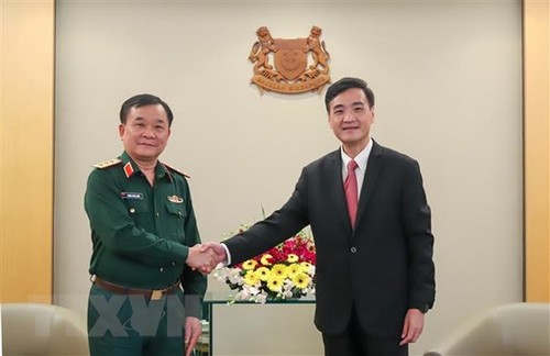 Vietnam y Singapur intensifican cooperación en defensa - ảnh 1