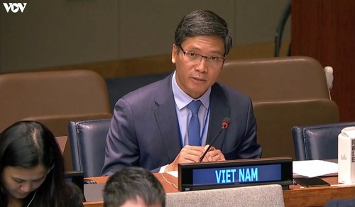 Vietnam llama a un mayor apoyo financiero para refugiados palestinos - ảnh 1