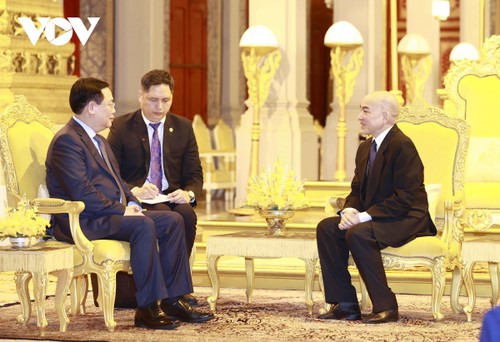 Presidente de la Asamblea Nacional de Vietnam se reúne con dirigentes de Camboya - ảnh 1