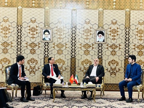 Vietnam e Irán afianzan relaciones de cooperación multifacética  - ảnh 1