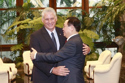 Presidente del Parlamento vietnamita se reúne con máximos dirigentes cubanos - ảnh 1