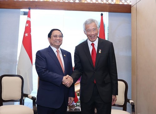 Vietnam promueve cooperación multifacética con Brunei, Laos,  Singapur y Malasia - ảnh 1