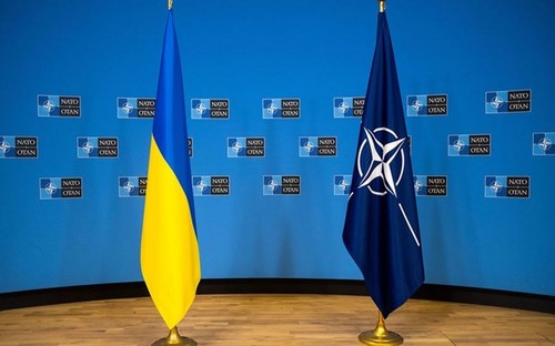 Ucrania se une oficialmente al centro de defensa cibernética de la OTAN - ảnh 1