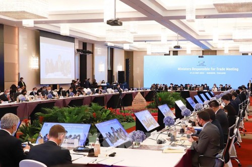 Concluye reunión de Ministros de Comercio de APEC sin comunicado conjunto - ảnh 1