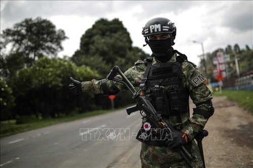 Gobierno de Colombia y el ELN acuerdan alto el fuego bilateral por seis meses - ảnh 1