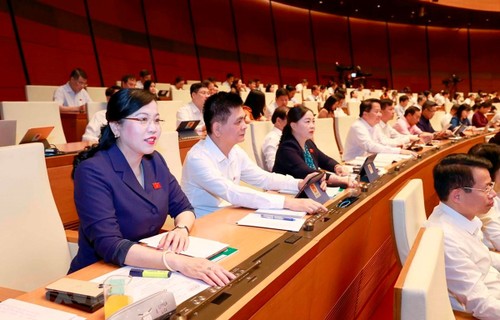 Parlamento de Vietnam extiende duración de visado electrónico para extranjeros - ảnh 1