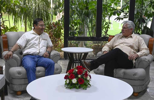 Líderes de Bolivia y Cuba sostienen conversaciones oficiales - ảnh 1
