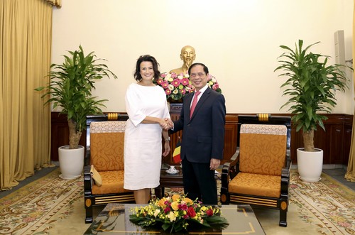 Canciller vietnamita recibe a presidenta del Senado belga - ảnh 1