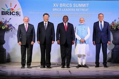 Mundo árabe dispuesto a estrechar su cooperación con el BRICS - ảnh 1