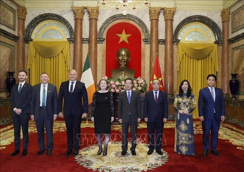 El presidente vietnamita recibe a embajadores extranjeros - ảnh 1