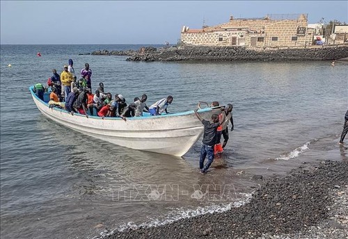 Aumenta drásticamente el flujo de inmigrantes hacia las Islas Canarias de España - ảnh 1