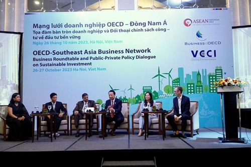 Foro Ministerial OCDE-Sudeste Asiático: Atraen recursos para el desarrollo sostenible - ảnh 1