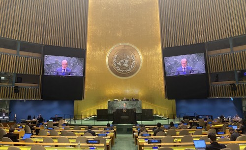 Vietnam apoya la reforma del Consejo de Seguridad de ONU - ảnh 1