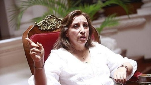  Dina Boluarte obtiene mayor desaprobación de su gestión en Perú - ảnh 1