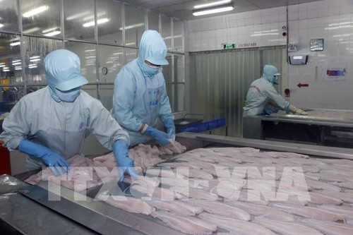 Vietnam registra un superávit comercial del sector agro-silvi-acuícola en 11 meses  - ảnh 1