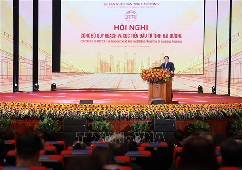 Primer ministro asiste a conferencia sobre planificación y promoción de inversión en Hai Duong - ảnh 1